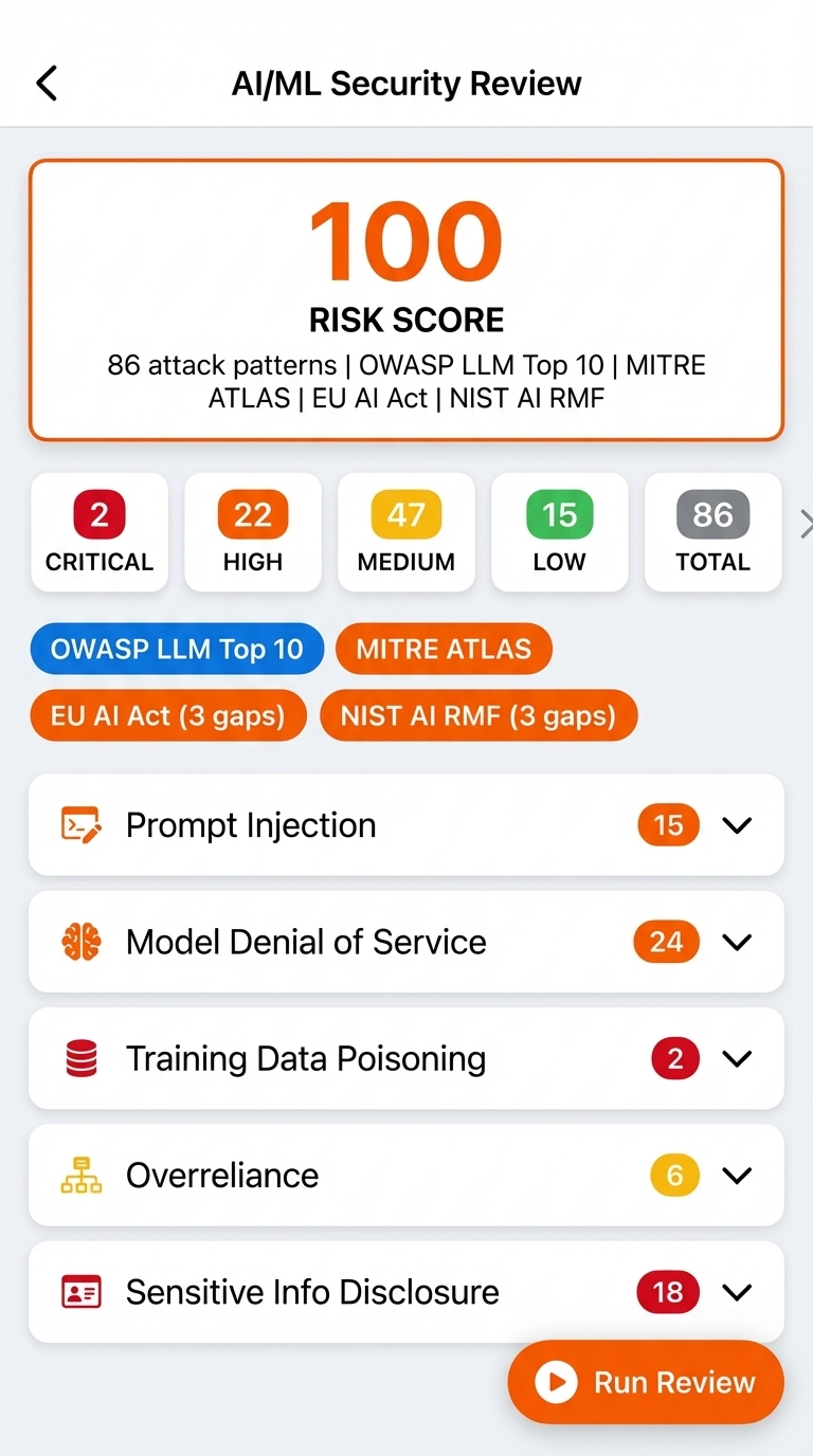 AI/ML Security Review
